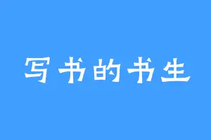 写书的书生
