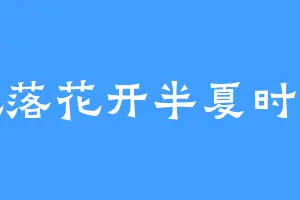 花落花开半夏时光