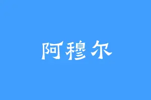 阿穆尔