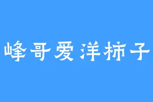 峰哥爱洋柿子