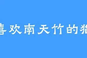 喜欢南天竹的猫