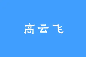 高云飞