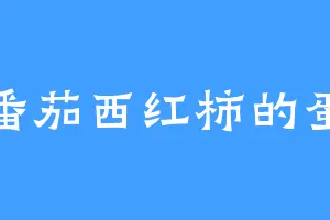 番茄西红柿的蛋