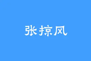 张掠风