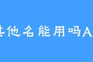 其他名能用吗AA