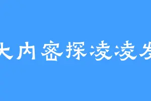 大内密探凌凌发
