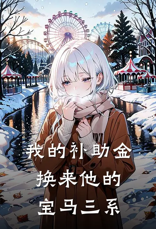 我的补助金，换来他的宝马三系