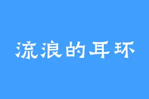 流浪的耳环