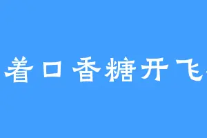 嚼着口香糖开飞机