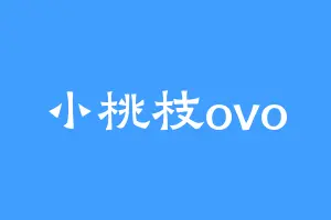 小桃枝ovo