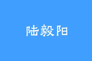 陆毅阳