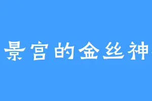 福景宫的金丝神猴