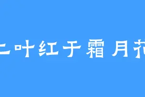 二叶红于霜月花