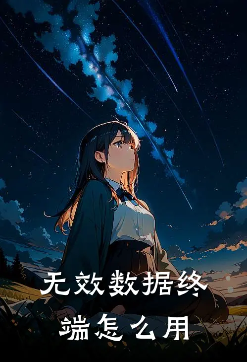 无效数据终端怎么用