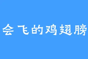 会飞的鸡翅膀