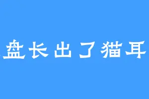 键盘长出了猫耳朵