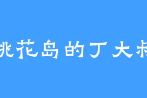 桃花岛的丁大叔