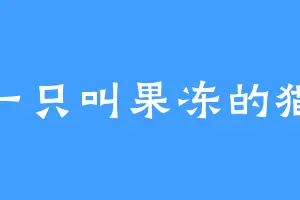 一只叫果冻的猫