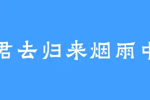 君去归来烟雨中