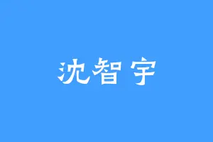 沈智宇