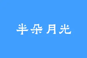 半朵月光