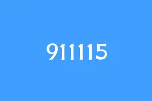 911115