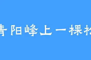 青阳峰上一棵松