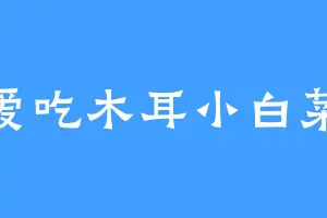爱吃木耳小白菜