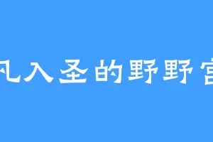超凡入圣的野野宫舞
