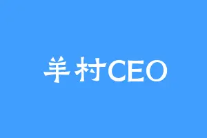 羊村CEO