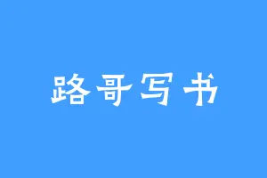 路哥写书
