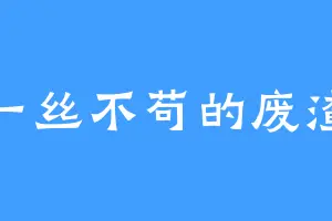 一丝不苟的废渣