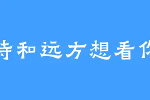 诗和远方想看你