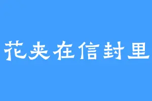 花夹在信封里