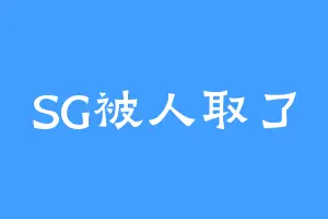 SG被人取了