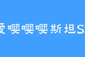 爱嘤嘤嘤斯坦SS