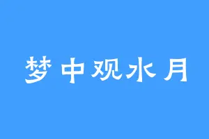 梦中观水月