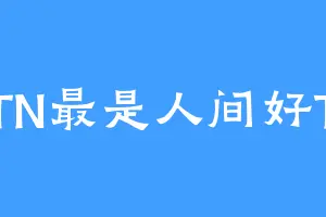 TN最是人间好T