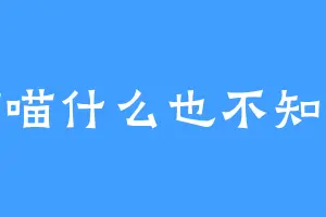 喵喵什么也不知道