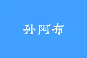 孙阿布