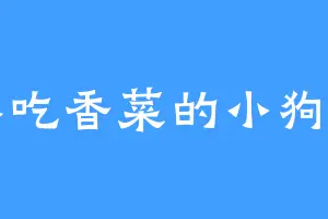 不吃香菜的小狗狗