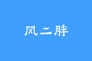 风二胖
