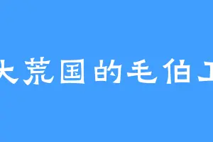 大荒国的毛伯卫