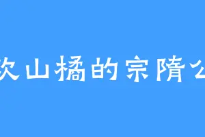 喜欢山橘的宗隋公主