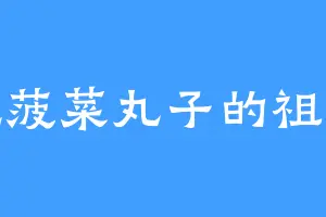 爱吃菠菜丸子的祖龙经