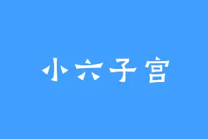 小六子宫