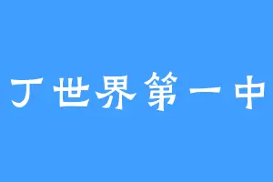 丁丁世界第一中场