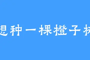 想种一棵橙子树