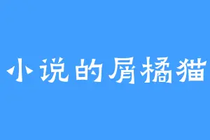 写小说的屑橘猫桑