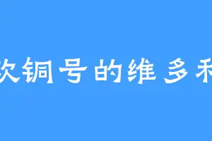 喜欢铜号的维多利加